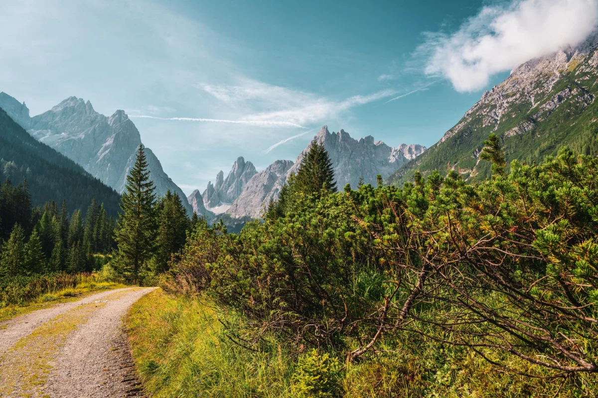 10 błędów, które niszczą pozycję wizytówki Google (i jak je naprawić)