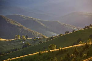 Ochrona środowiska w branży reklamowej: Nowe wyzwania i innowacyjne rozwiązania