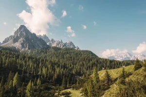 Jak skutecznie wykorzystać reklamę i marketing do promocji swojego biznesu?